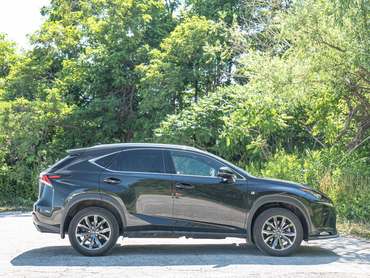 2021 Lexus NX 300 Photo
