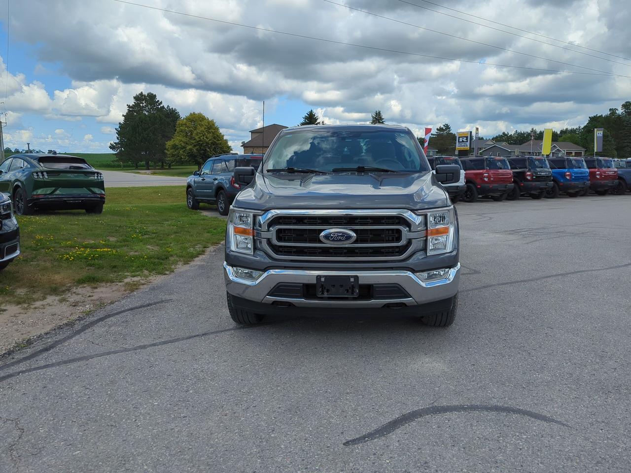 2023 Ford F-150 Ford Blue Advantage - XLT 4WD SuperCrew 5.5' Box Photo2