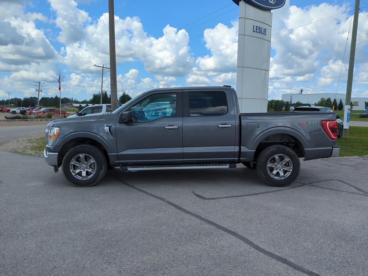 2023 Ford F-150 Ford Blue Advantage - XLT 4WD SuperCrew 5.5' Box Photo3