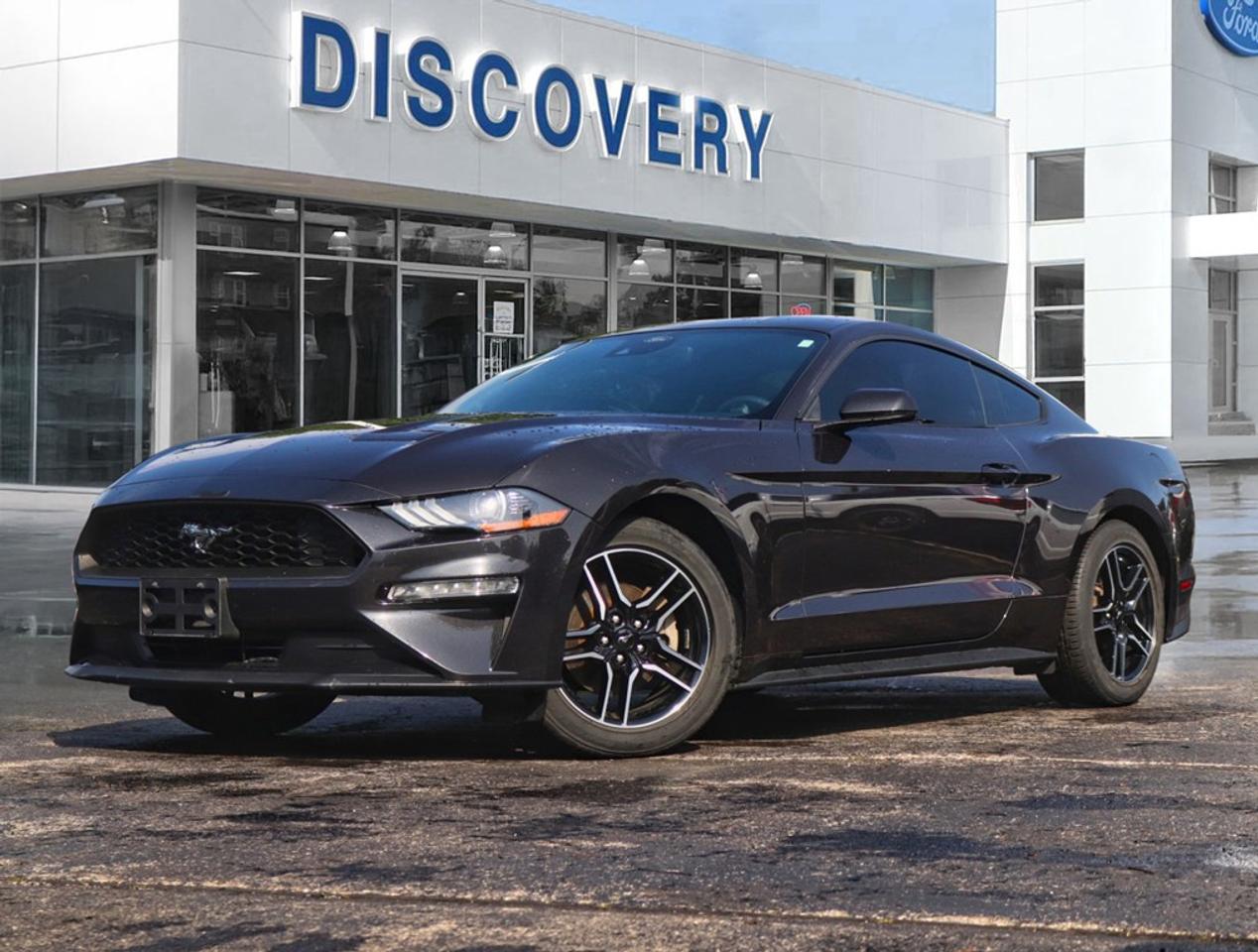 Used 2023 Ford Mustang EcoBoost Premium | 2.3L | 201A | AUTO | NAV | LEAT for sale in Burlington, ON