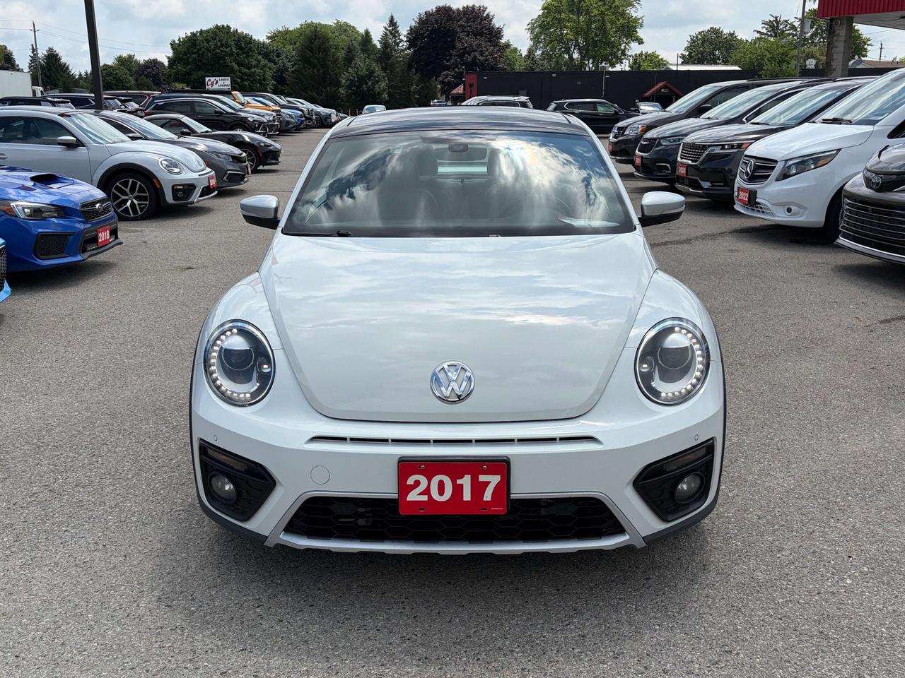 2017 Volkswagen Beetle DUNE, AUTO, CLEAN CARFAX, HEATED SEATS, SUNROOF! Photo