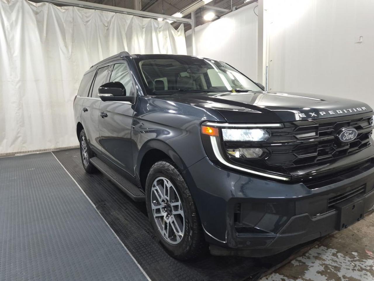 2025 Ford Expedition Active Photo1