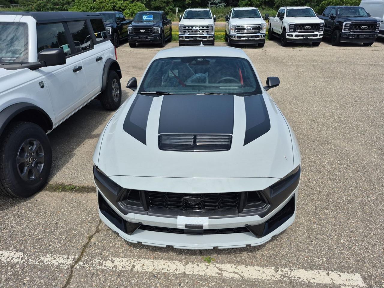 2026 Ford Mustang DARK HORSE, RECARO SEATS, HANDLING PKG Photo2