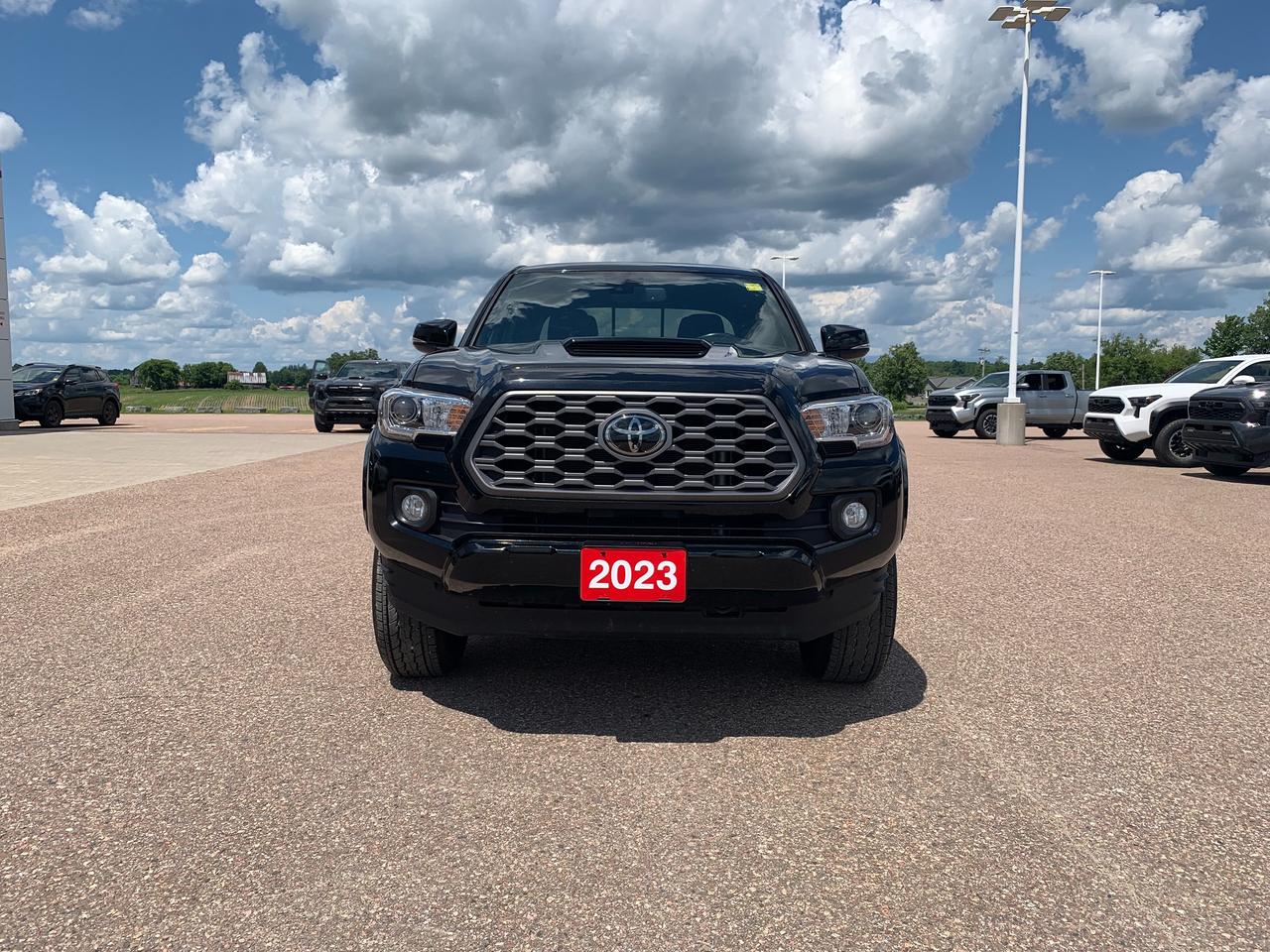 2023 Toyota Tacoma TRD Sport TRD SPORT Photo