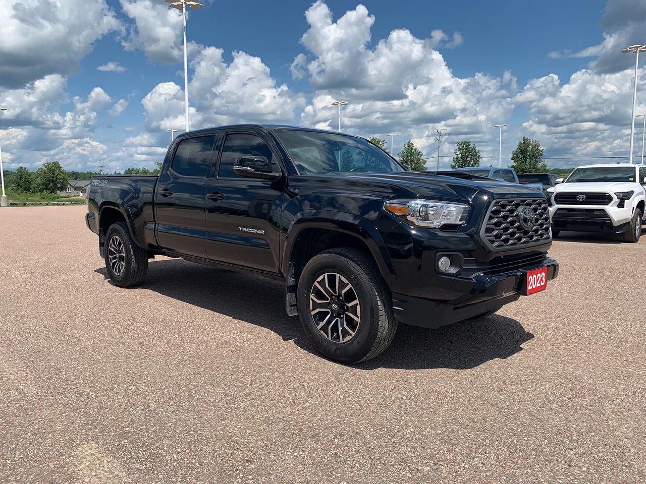 2023 Toyota Tacoma TRD Sport TRD SPORT Photo