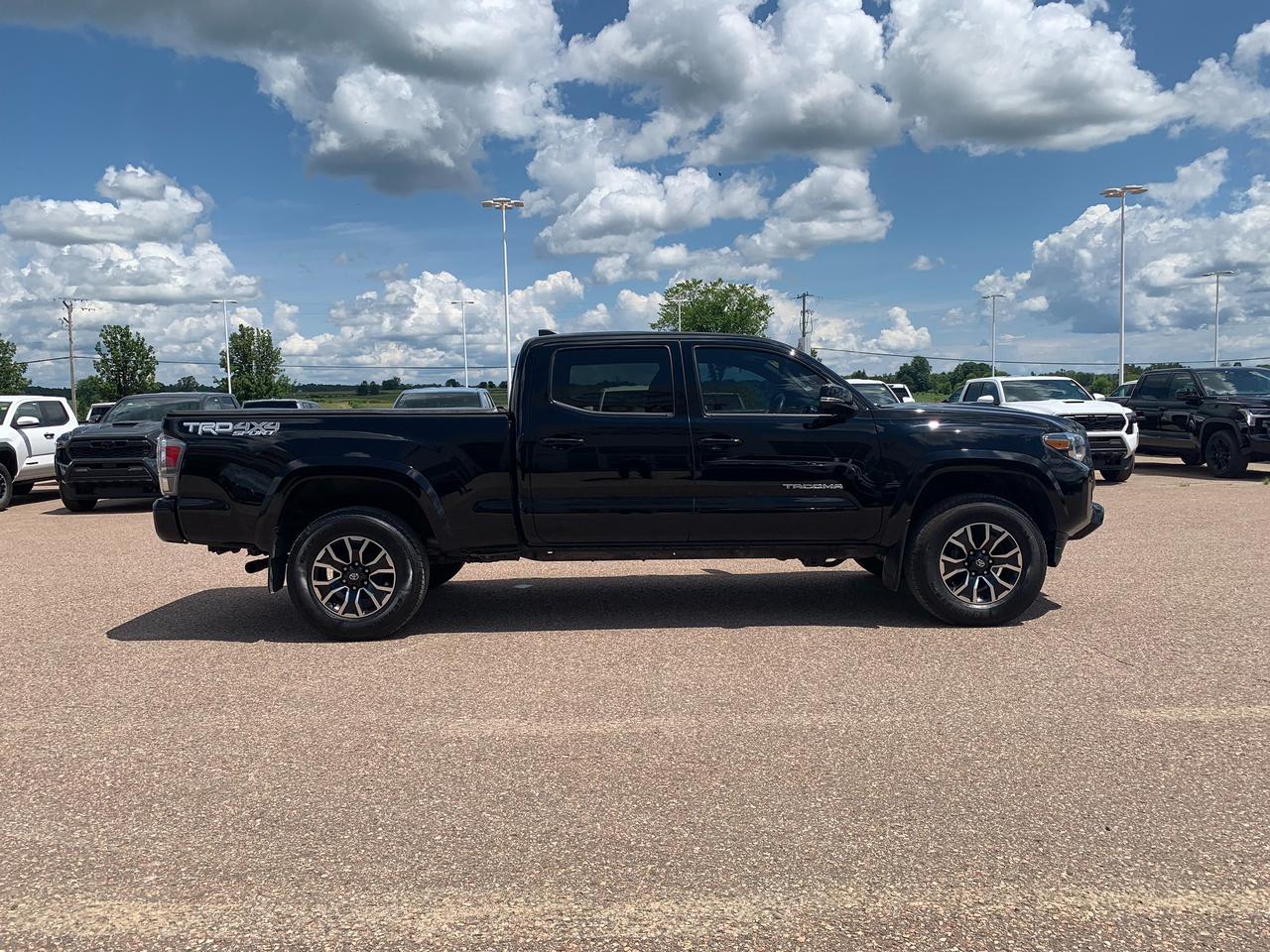 2023 Toyota Tacoma TRD Sport TRD SPORT Photo