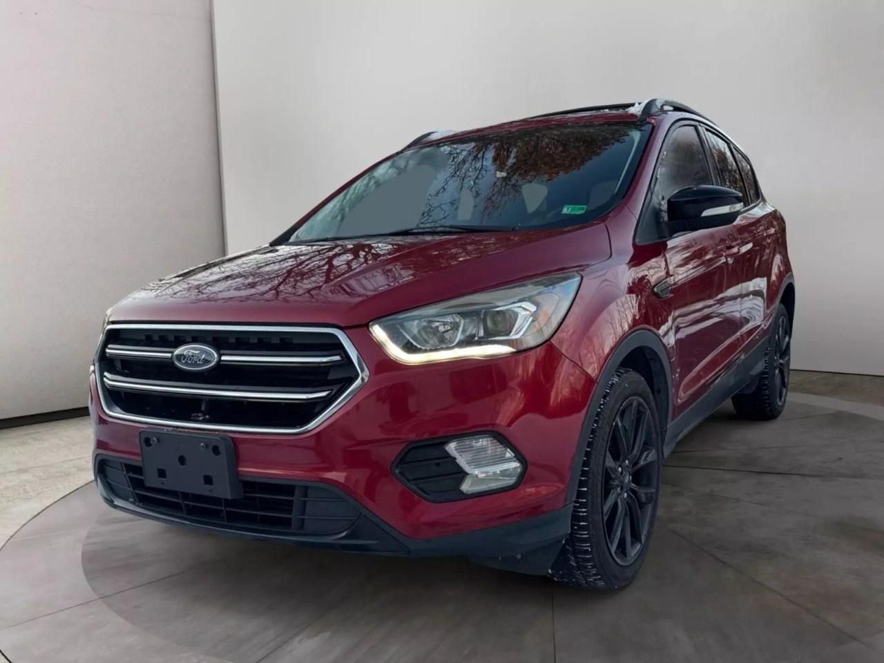 2019 Ford Escape SE Photo0