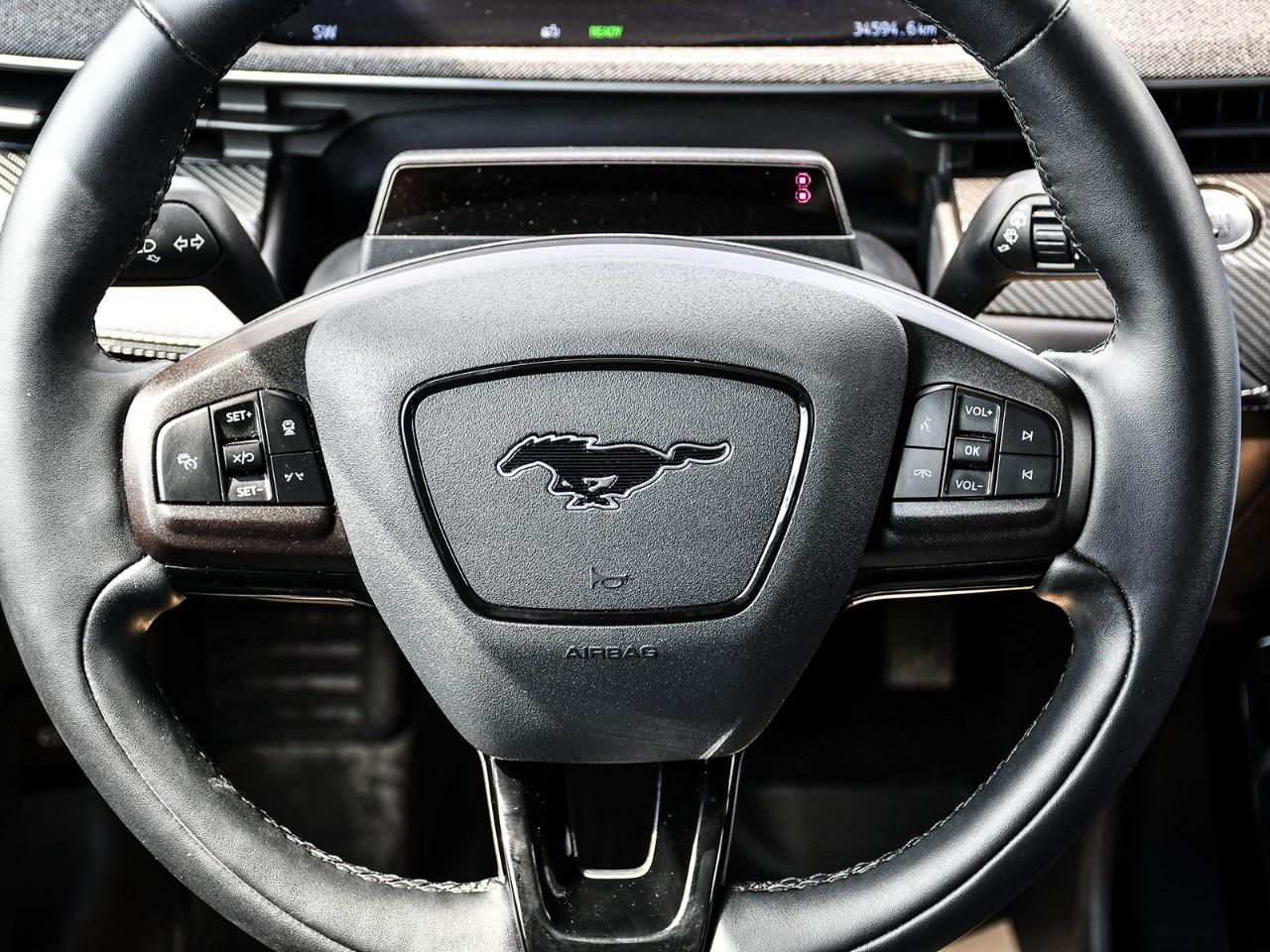 2023 Ford Mustang Mach-E Premium AWD Photo