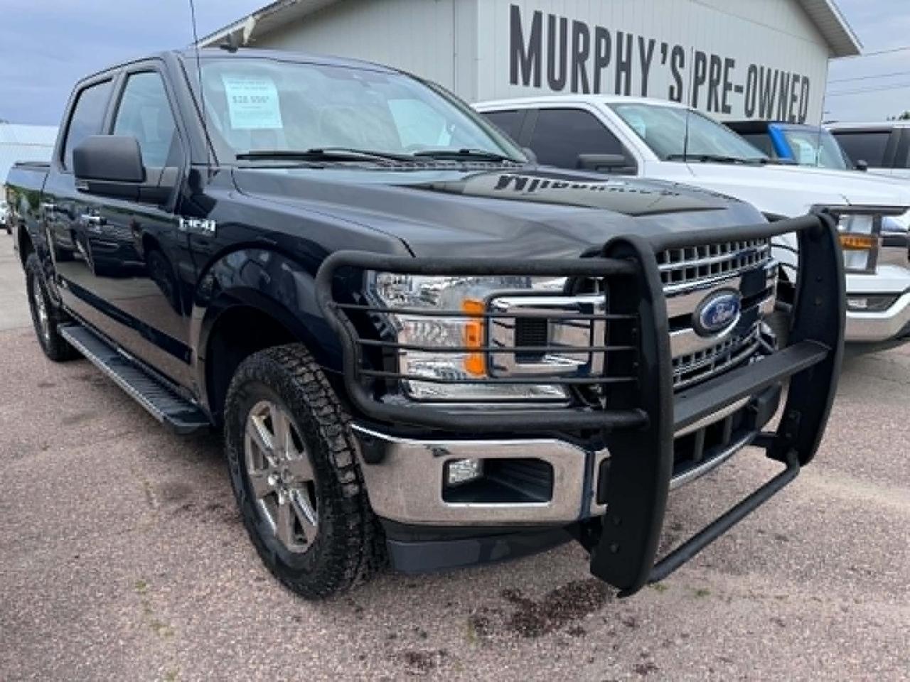 2019 Ford F-150 XLT Photo4