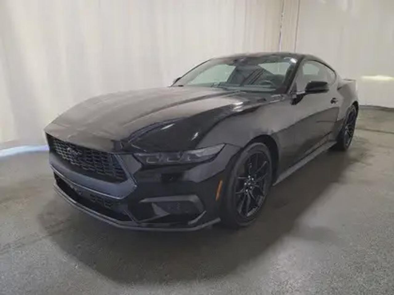 This new 2026 Ford Mustang EcoBoost looks eye catching in the color Shadow Black. This fastback comes with the 2.3L EcoBoost engine which connects you to the road with this 10-speed automatic transmission. This popular engine produces 315 horsepower and 350 lb.-ft of torque.  

Key Features:
Convertible 
Ford Co-Pilot 360 Technology 
Lane Keep Assist 
Rear View Camera 
Rain Sensing Wipers 
Rear Parking Sensors 
SYNC 4 
Wireless Apple Car Play/Android Auto Connection 
Ford Connectivity Package (1-year included)*
13.2 LCD Touchscreen
Pre- Collison Assist 
3.15 Limited Slip Axle 
18 X 8 Painted Shadow Silver Cast Aluminum 
Dual-Zone Climate Control 
Mustang Nite Pony Package
 -19 X 18.5 Ebony Black Painted Aluminum Wheels
 -Wedge Decklid Spoiler
Over-The -Top Racing Stripe
 -Matte Black W/ Red Accent
Minis Spare Wheel and Tire

This vehicle comes with the All-Weather Packageready to take on any season! Snow, rain, mud, or sunshinethis vehicle is built for it all! The All-Weather Package adds extra protection where it matters most, with premium mud flaps to shield your paint from road debris, all-weather floor mats to protect your interior from lifes messes, and Xpel paint protection to help guard against those infuriating rock chips. Drive with confidence, knowing your investment is protected from Reginas elements.

 Bennett Dunlop Ford, proudly serving Regina for over 40 years, is conveniently located at 770 Broad Street. With over 3,500 Google reviews, our reputation reflects our commitment to providing a fast, easy, and enjoyable vehicle-buying experience. We eliminate the hassle with no admin or documentation fees, transparent upfront pricing that lets you shop with total confidence. But were more than just a dealershipwere driven to make a difference by supporting local community initiatives and events that matter to you. Visit Bennett Dunlop Ford today and experience why were Reginas trusted choice for quality vehicles, exceptional service, and a genuine commitment to driving change in our community!