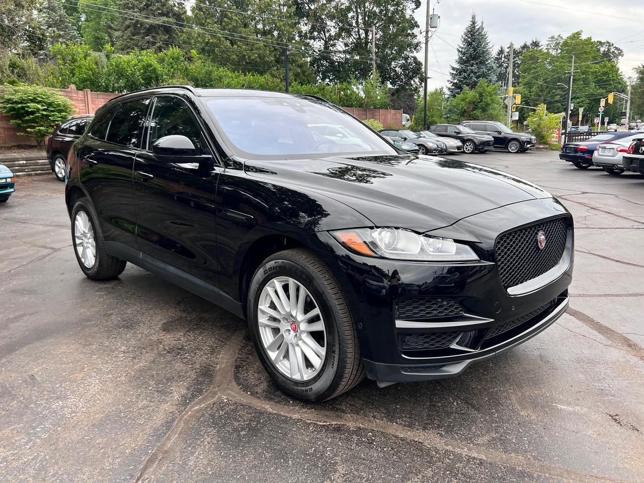 <p>Super clean, great options with very, very low mileage. This one owner vehicle looks and drives exceptional. Hard to find in this condition !!!</p><p>clean carfax, no accidents ever</p><p>all vehicles sold by us are fully reconditioned, oil service and certified. Visit our webpage for more exciting vehicles villageautoancaster.ca</p><p>Looking for financing? Here at Village Auto, we have partnered up with some key financing companies which allow us to offer some finance options for our specialty vehicles 2013 and older. Please ask for details.&nbsp;&nbsp;</p>