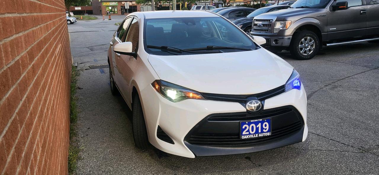 2019 Toyota Corolla Auto Photo