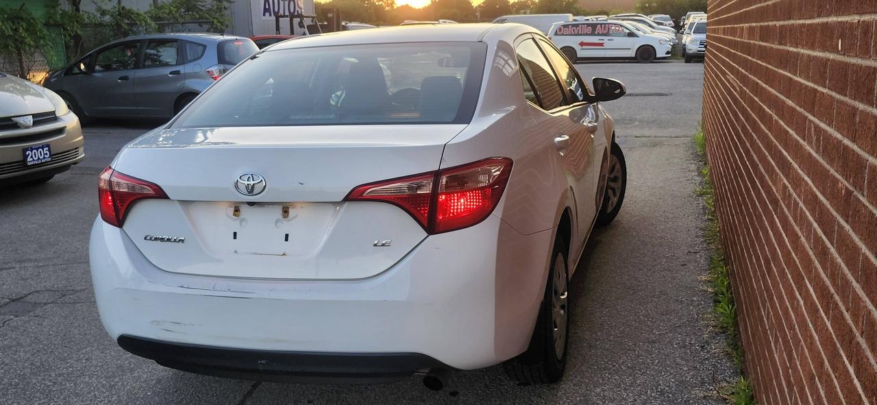 2019 Toyota Corolla Auto Photo