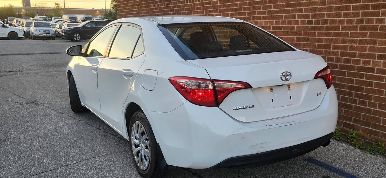 2019 Toyota Corolla Auto Photo