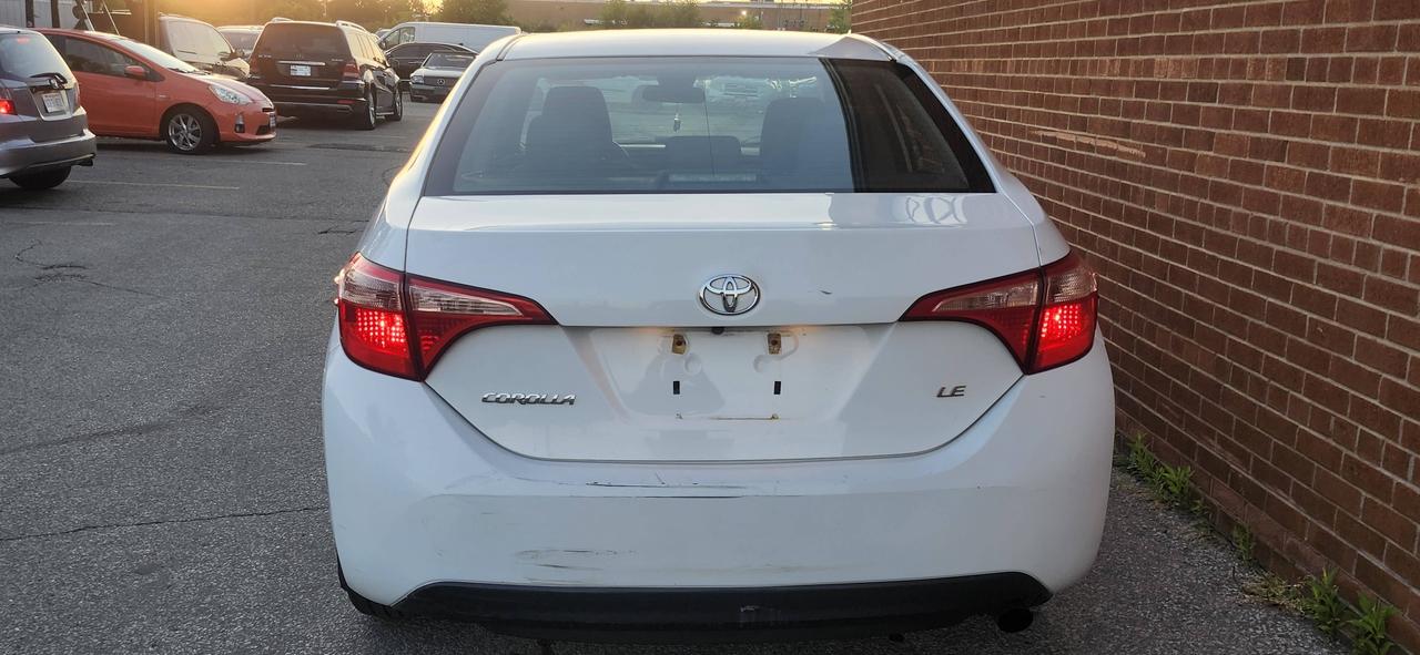 2019 Toyota Corolla Auto Photo