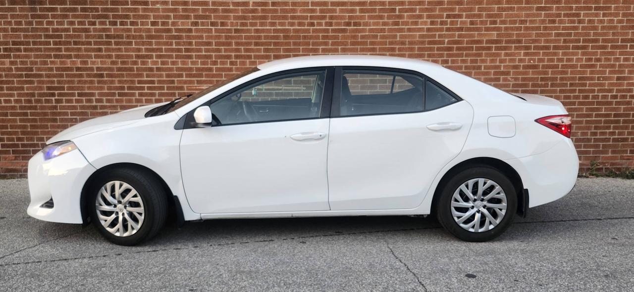 2019 Toyota Corolla Auto Photo