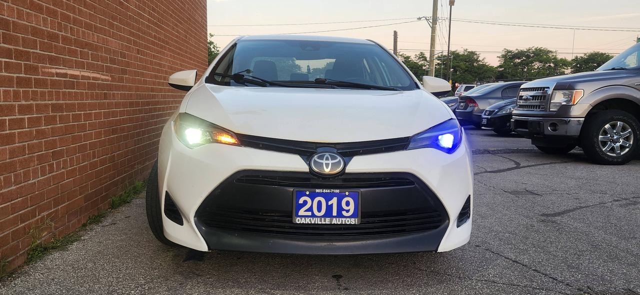 2019 Toyota Corolla Auto Photo
