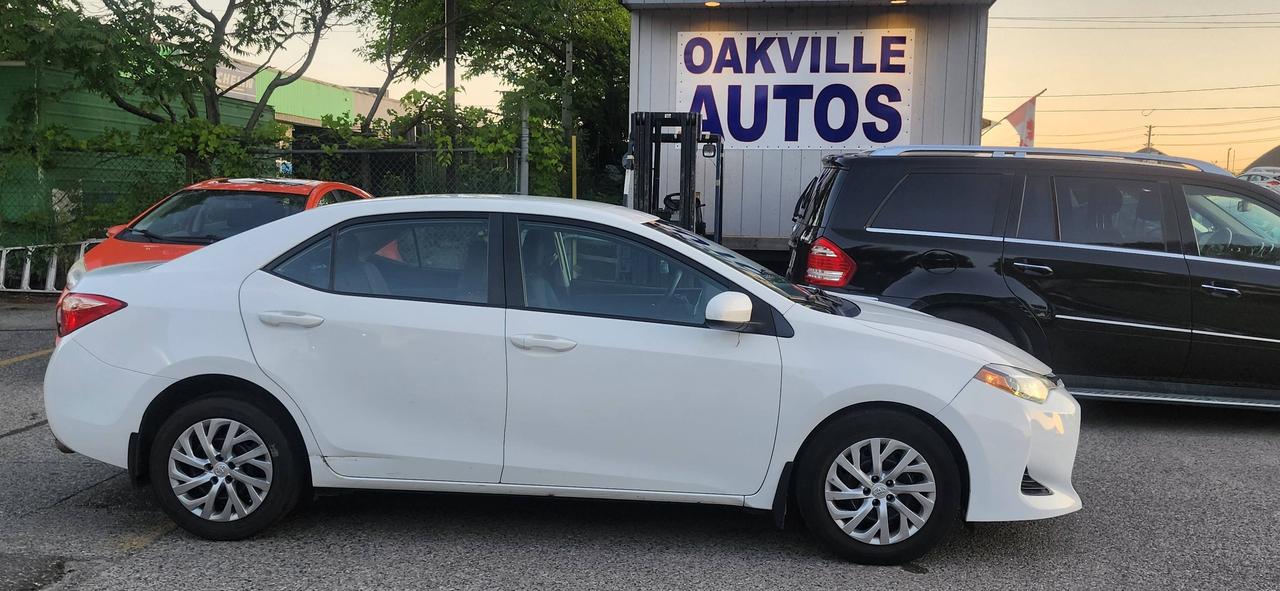 2019 Toyota Corolla Auto Photo