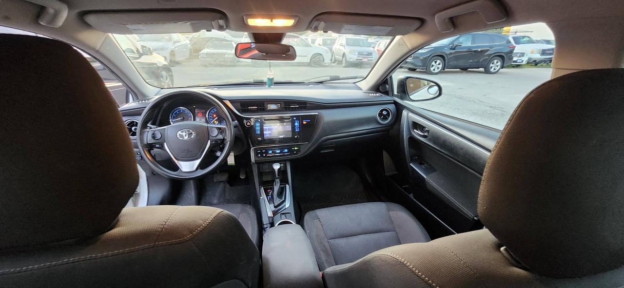 2019 Toyota Corolla Auto Photo