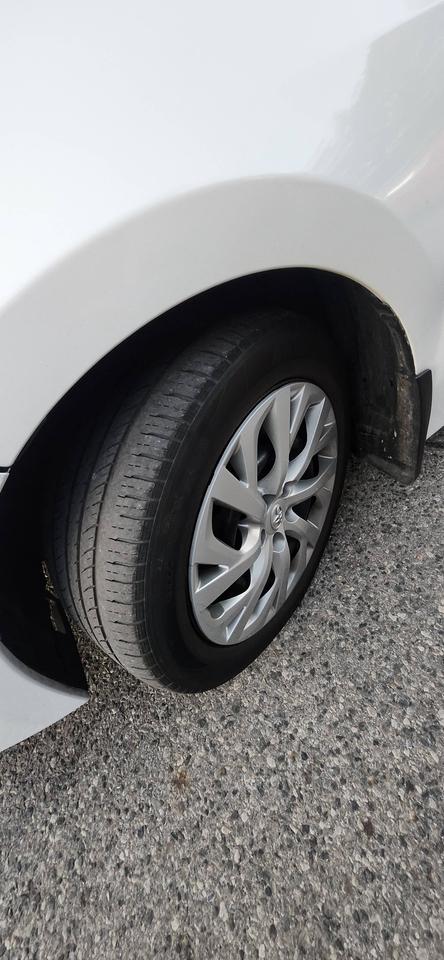 2019 Toyota Corolla Auto Photo