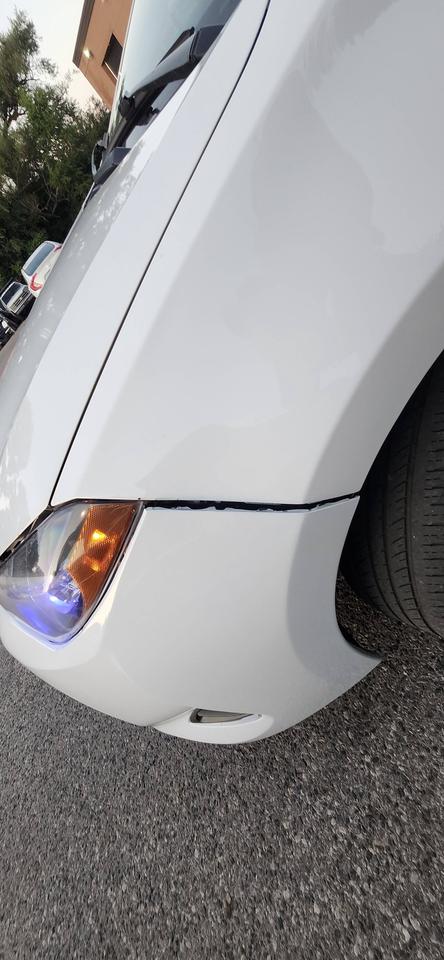 2019 Toyota Corolla Auto Photo