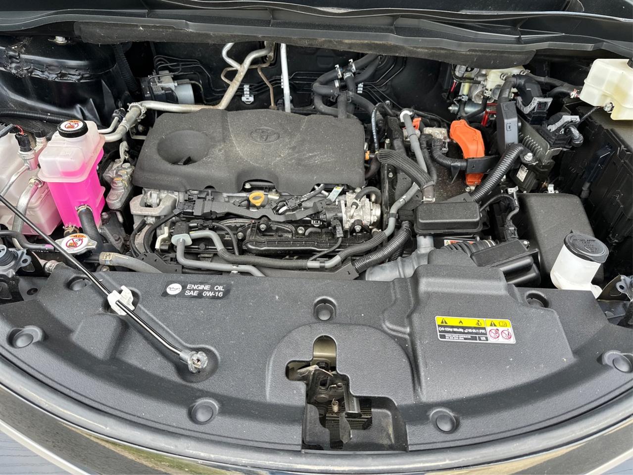 2023 Toyota Sienna  Photo