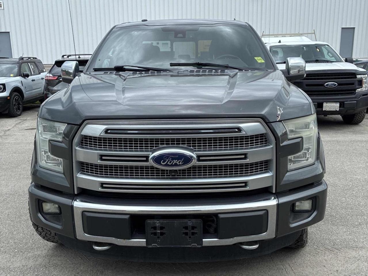 2015 Ford F-150 F150 PLATINUM   WELL MAINTAINED   LOADED Photo