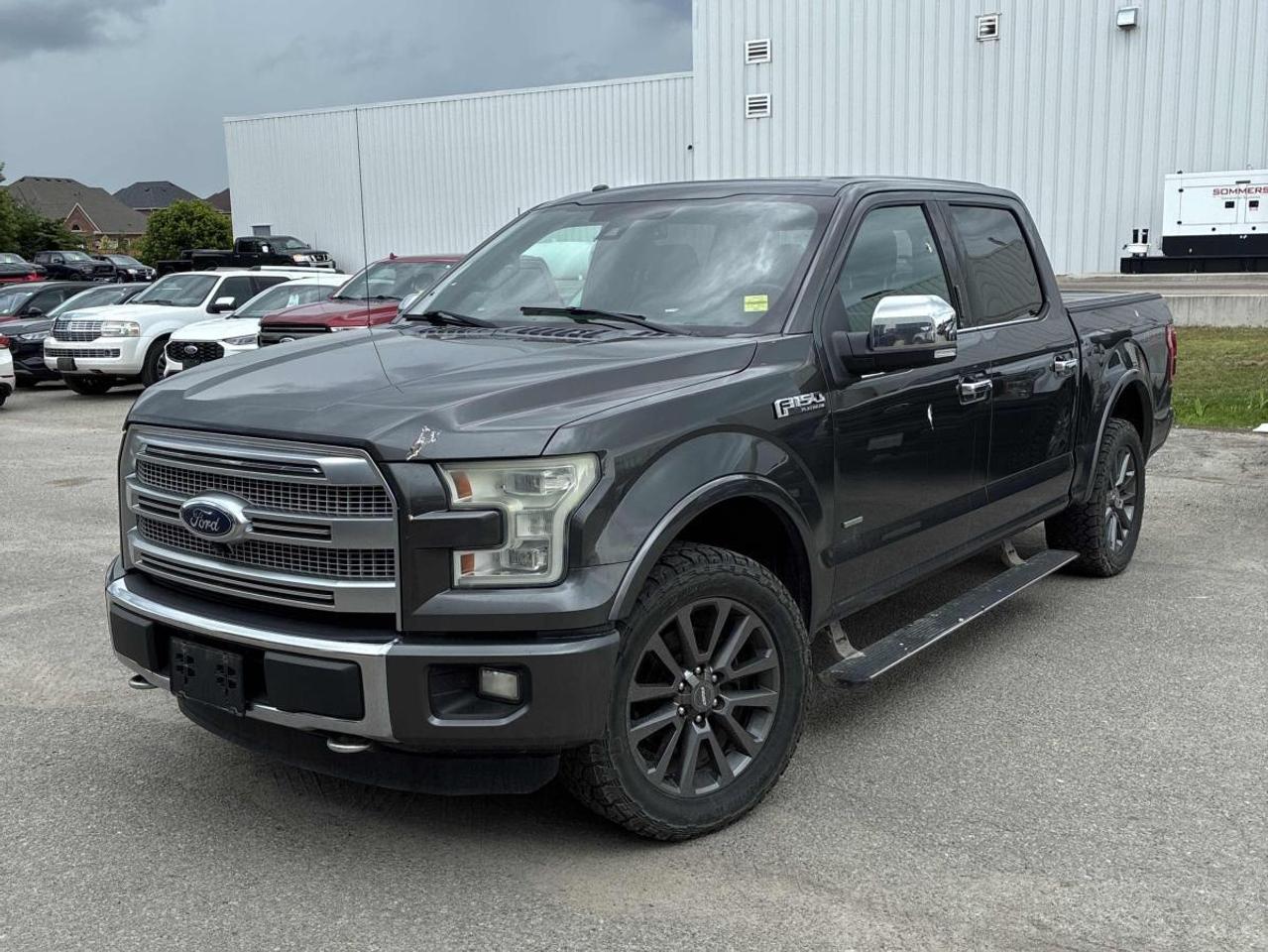 2015 Ford F-150 F150 PLATINUM   WELL MAINTAINED   LOADED Photo