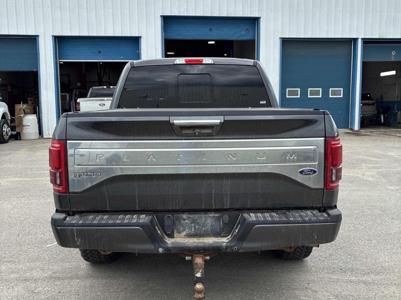 2015 Ford F-150 F150 PLATINUM   WELL MAINTAINED   LOADED Photo