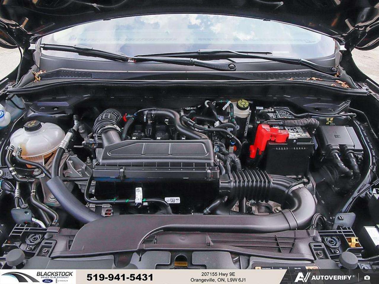 2025 Ford Escape ACTIVE   CERTIFIED   LOCAL VEHICLE Photo