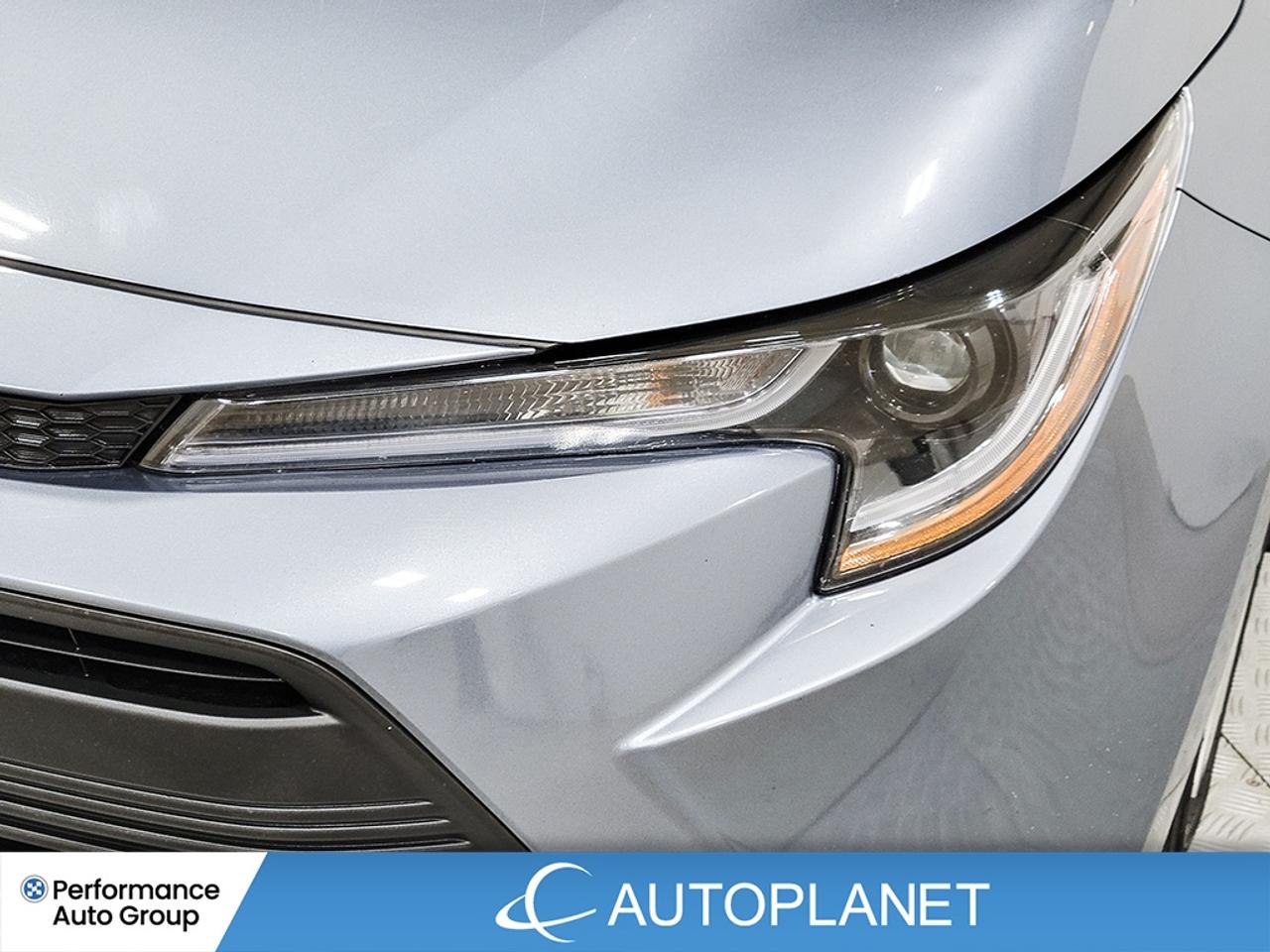 2025 Toyota Corolla LE, Android Auto, Back Up Cam, Toyota Safety Sense Photo