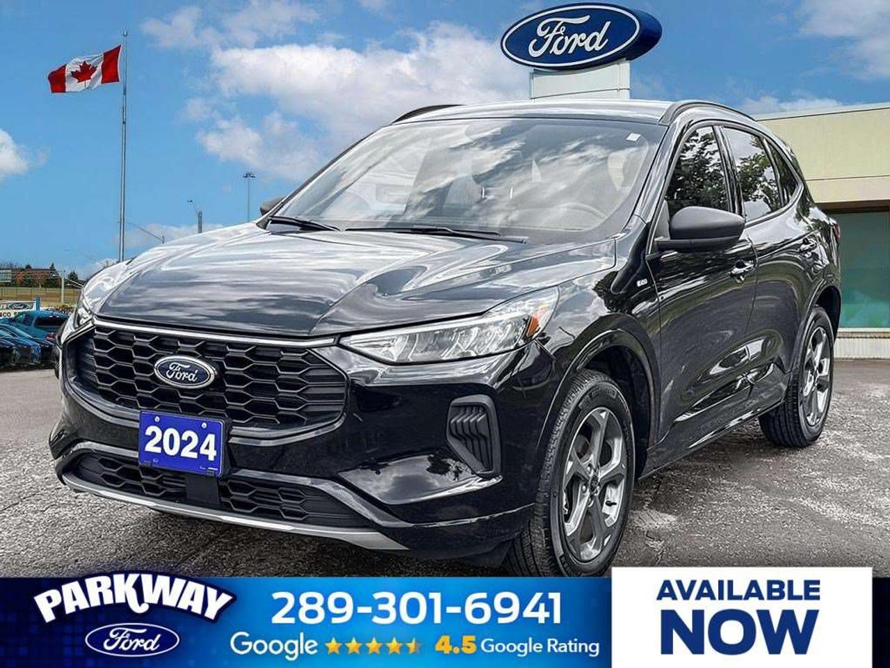 2024 Ford Escape ST-Line   300A   HTD STEER WHEEL   REAR CAM Photo