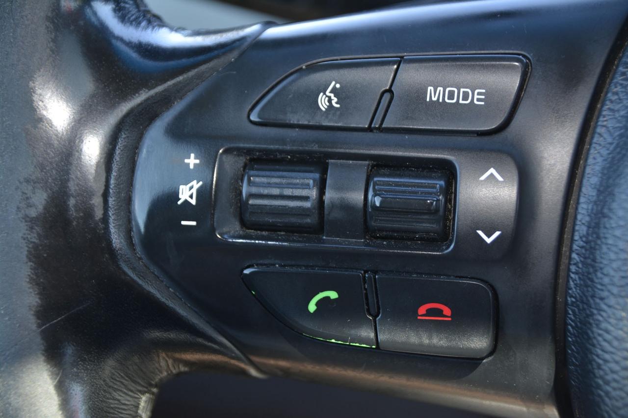 2015 Kia Sedona SXL Photo