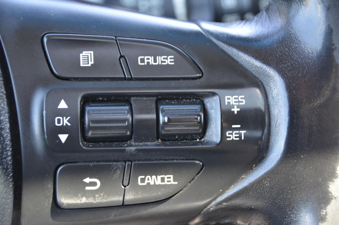 2015 Kia Sedona SXL Photo