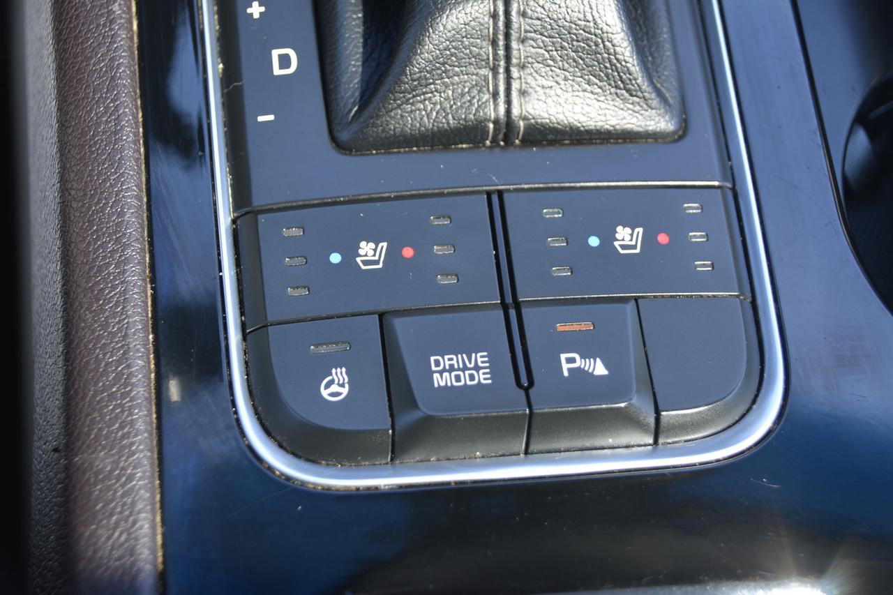 2015 Kia Sedona SXL Photo