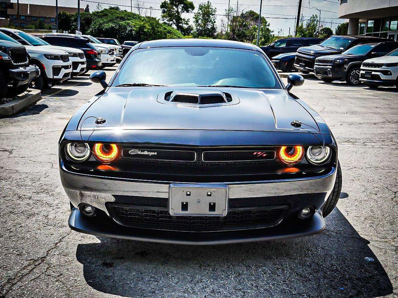 2019 Dodge Challenger  Photo