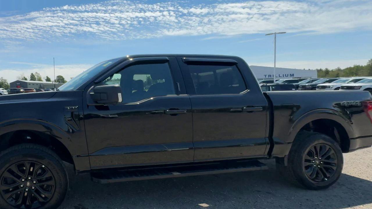 2024 Ford F-150 XLT Photo