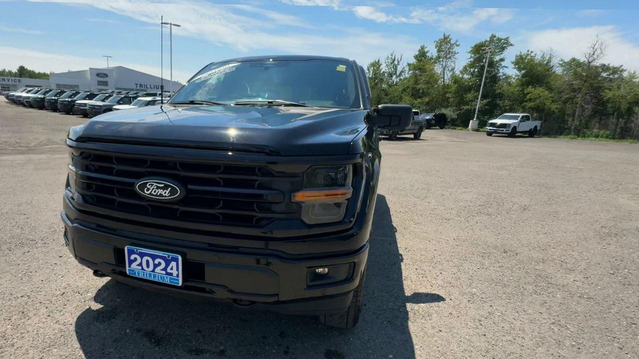 2024 Ford F-150 XLT Photo
