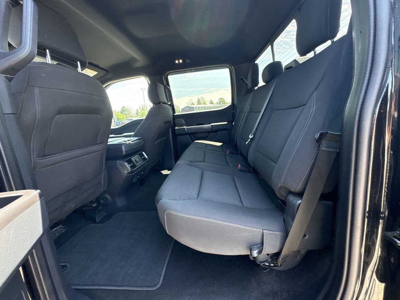 2024 Ford F-150 XLT Photo