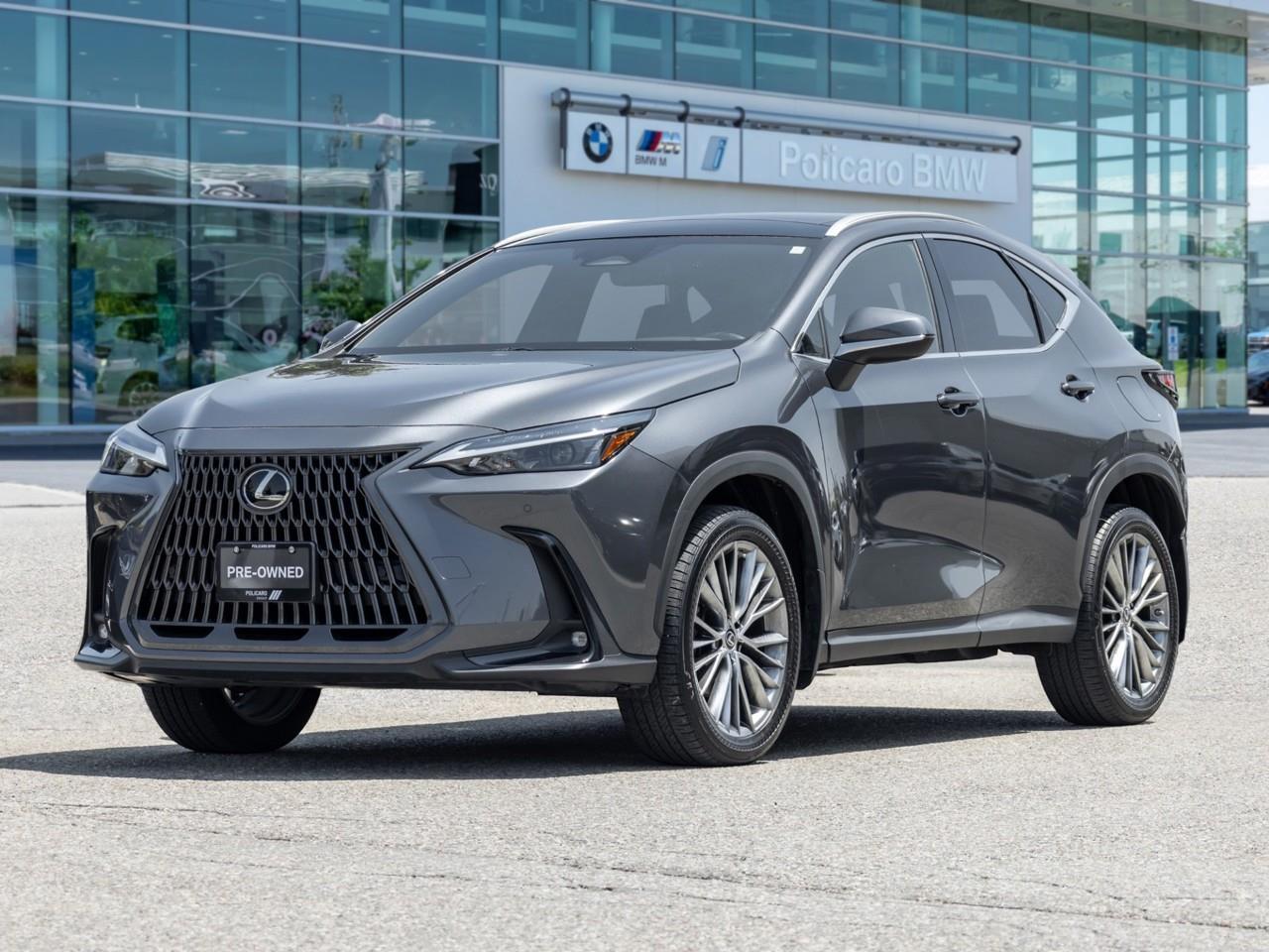 2023 Lexus NX 350 Base 4dr All-Wheel Drive Photo