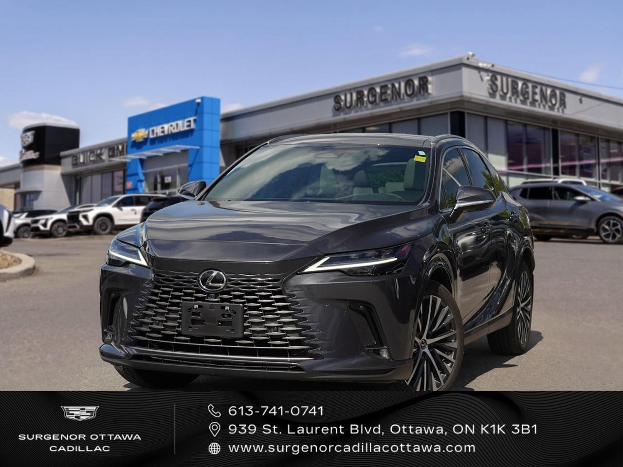 2025 Lexus RX RX 350 Auto Photo