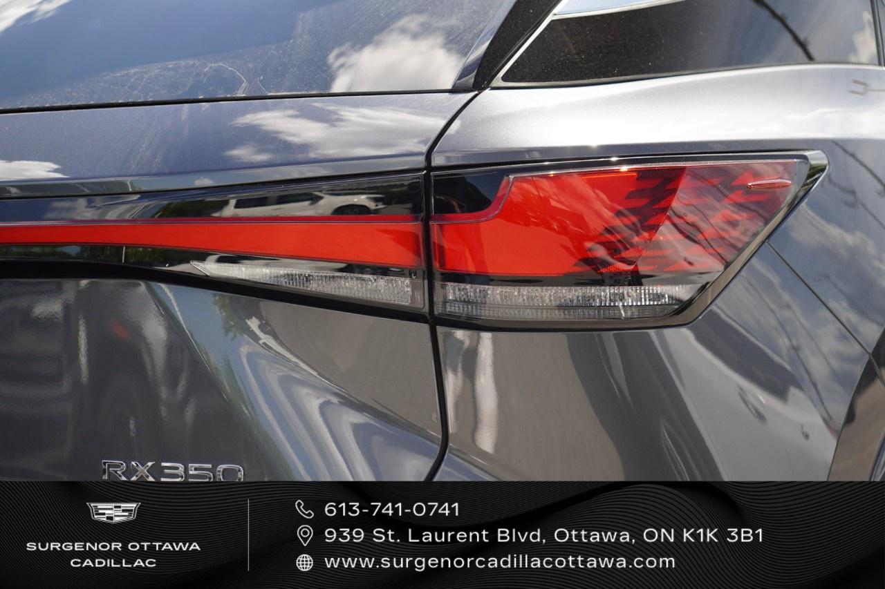 2025 Lexus RX RX 350 Auto Photo