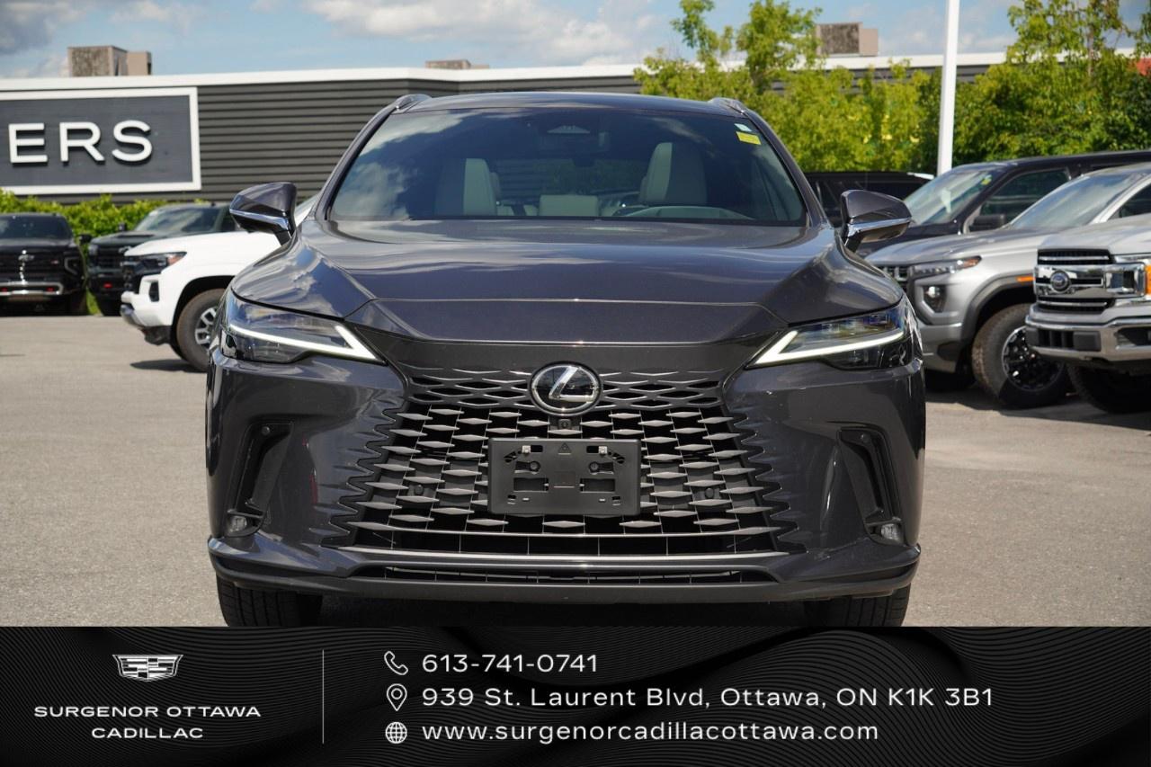 2025 Lexus RX RX 350 Auto Photo