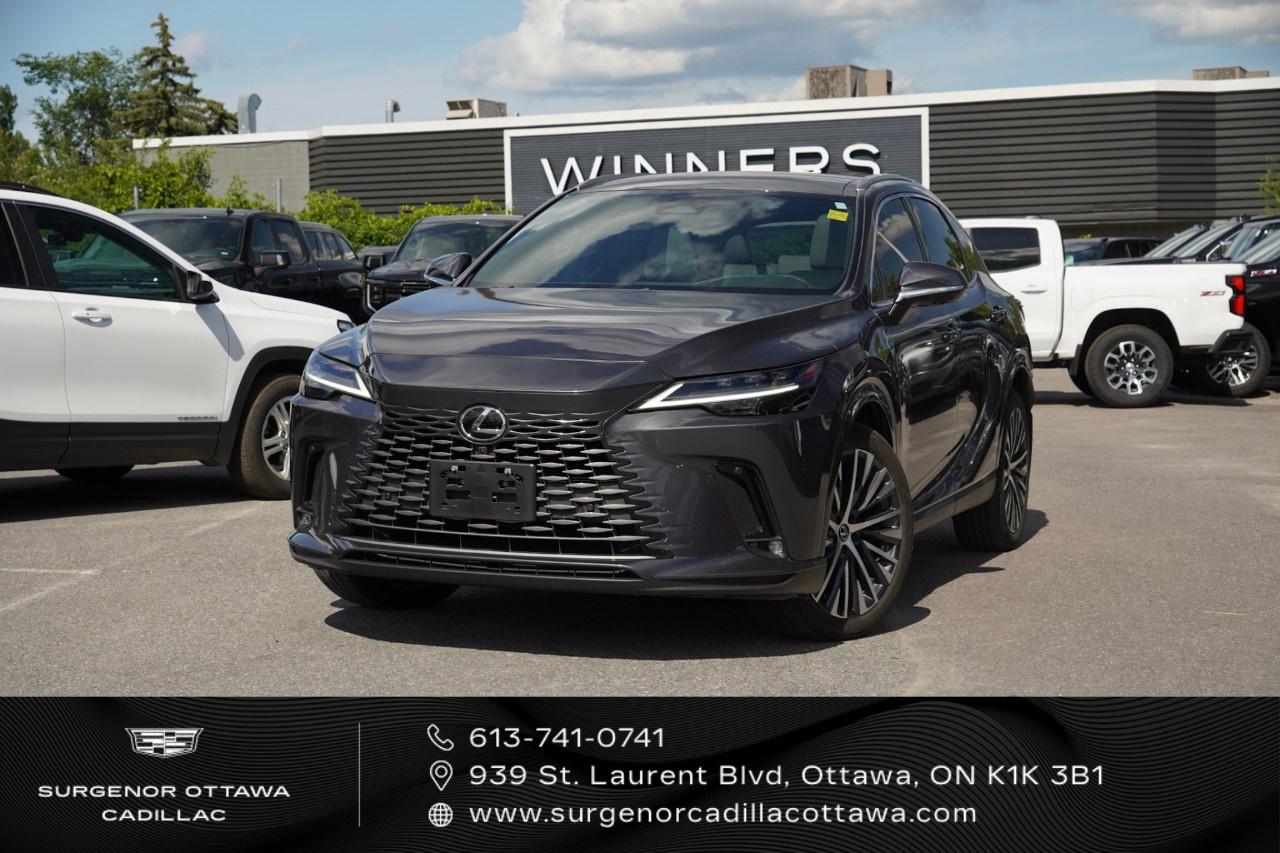 2025 Lexus RX RX 350 Auto Photo