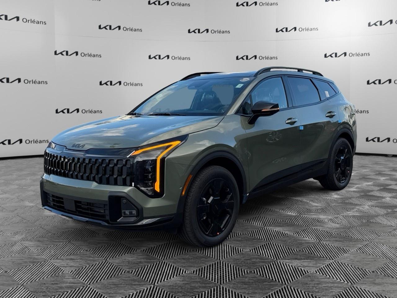 <p>* While every reasonable effort is made to ensure the accuracy of this data we are not responsible for any errors or omissions contained in these pages. Please verify any information in question with a representative of Orleans Kia.</p>