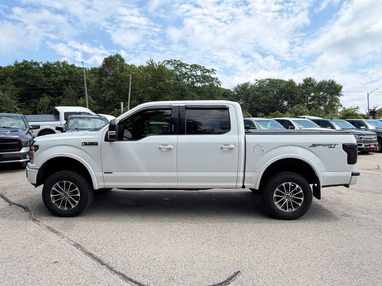 2019 Ford F-150 XLT SPORT, CLEAN CARFAX, REMOTE START, BACK UP CAM Photo