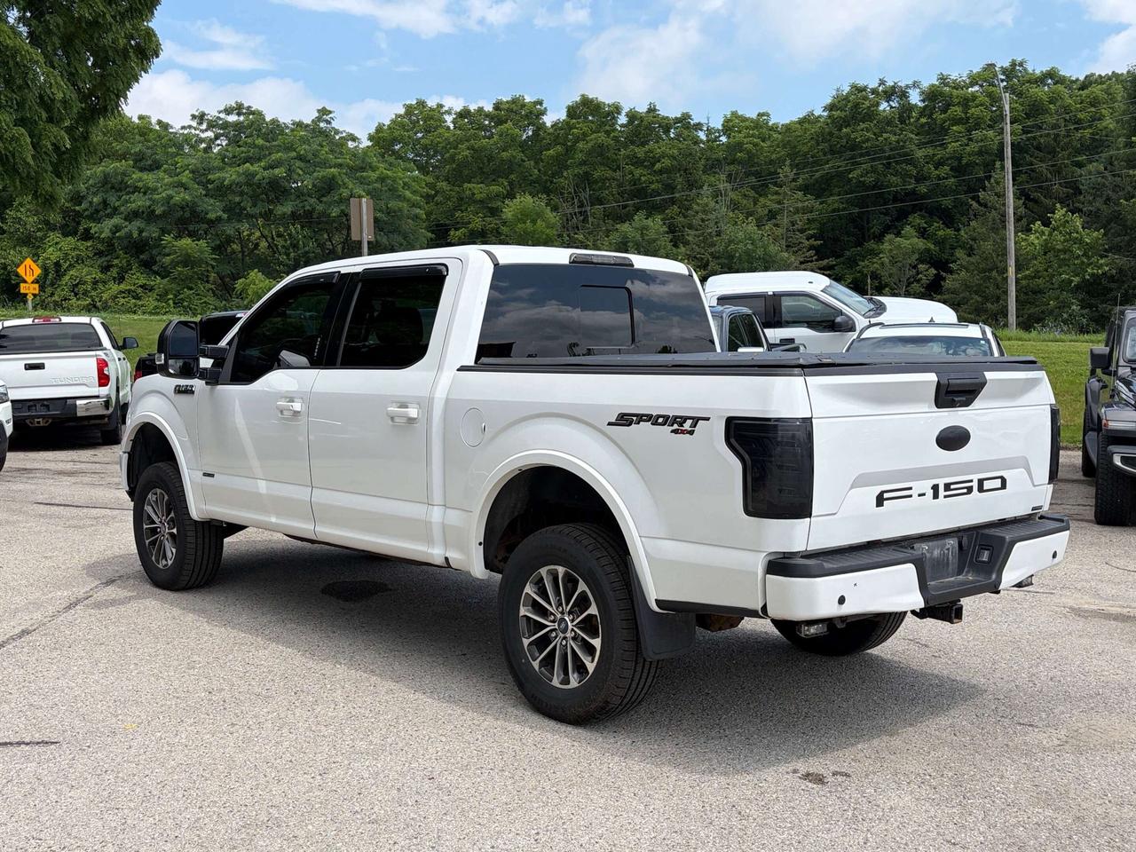 2019 Ford F-150 XLT SPORT, CLEAN CARFAX, REMOTE START, BACK UP CAM - Photo #6
