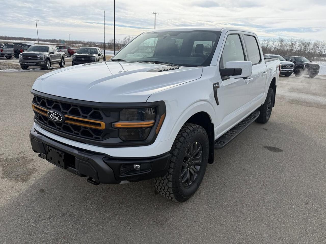 2026 Ford F-150 Tremor Photo0