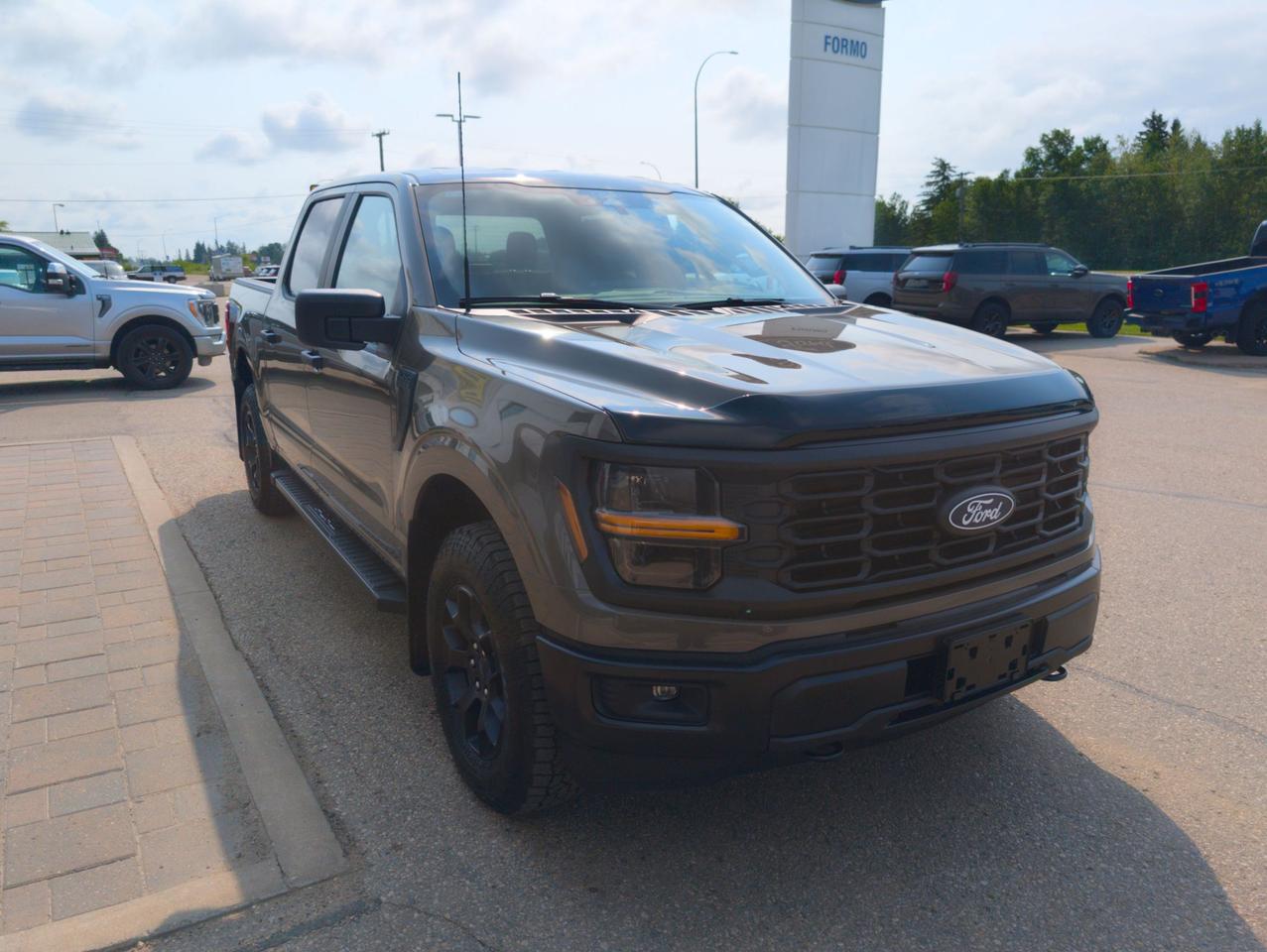 2026 Ford F-150 STX Photo3