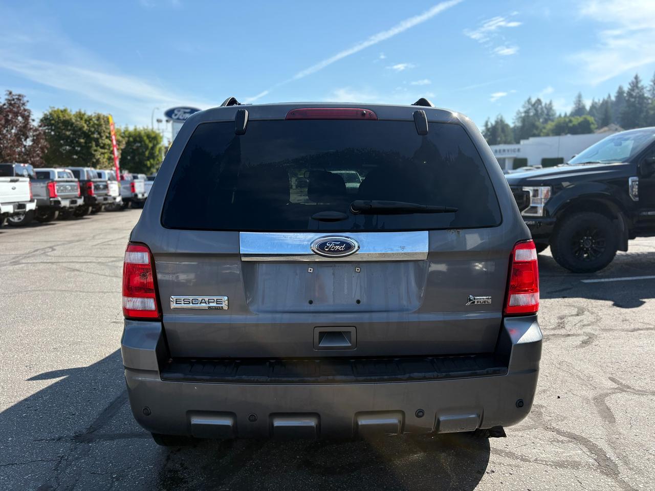 2011 Ford Escape Limited Photo3